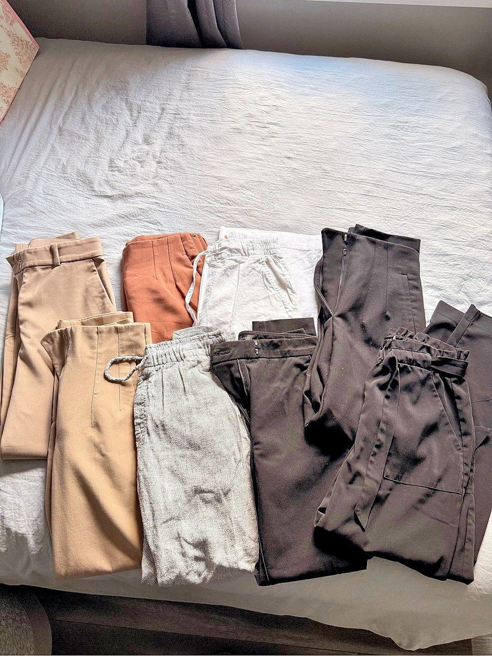 Women's Dress Pant Lot